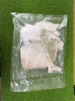 Chinese Pomfret