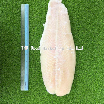 Dory Fillet