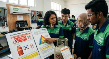 R290 safety data sheet SDS