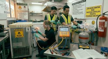 R290 environmentally safe recovery process