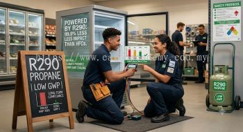 propane R290 low GWP compliance