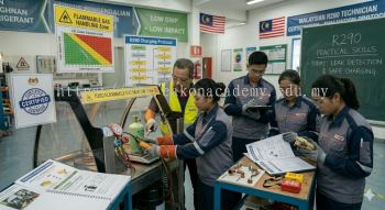 R290 technician skills development