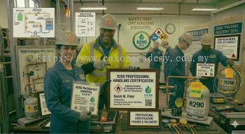 R290 professional handling certification