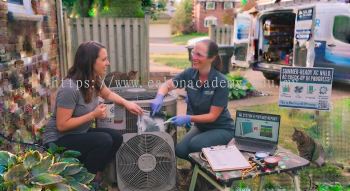 Air conditioner condenser maintenance