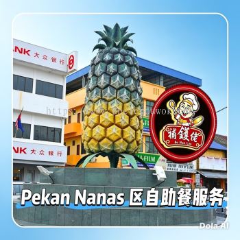 Affordable Catering Buffet  Pekan Nanas