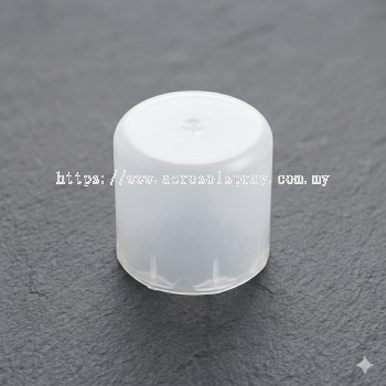 Aerosol Spray cap