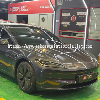 Tesla 3 T/up - 8