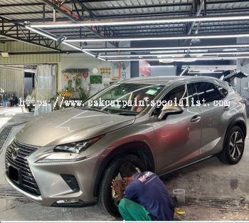 Lexus NX300 - 1