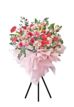Opening Flower  158