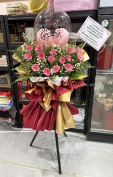 Opening Flower  161