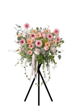 Opening Flower  164