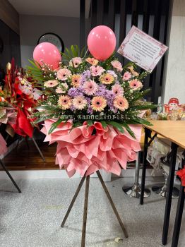 Opening Flower  168