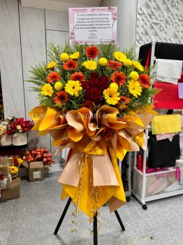 Opening Flower  169