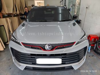 PROTON X50