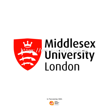 Bachelor of Business Accounting | Middlesex University London