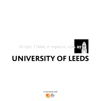 Bachelor of Electronic and Electrical Engineering | University of Leeds