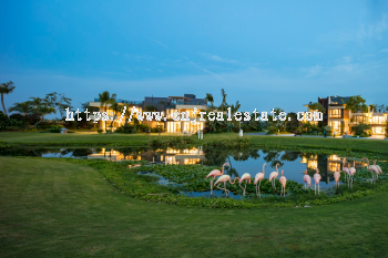 Forest City Golf Villa Garden Terrace Freehold Golf Resort Homes Near Singapore