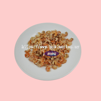 Dry Prawn
