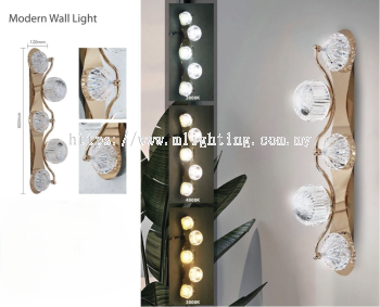 Modern Wall Light