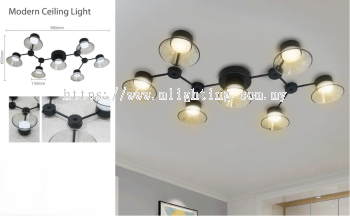 Modern Ceiling Light