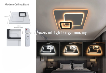 Modern Ceiling Light