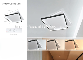 Modern Ceiling Light