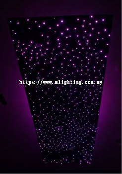 Fibre Optic Light