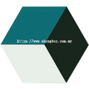 26019 (MUSHA HEXAGON)