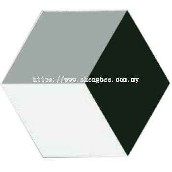 26020 (MUSHA HEXAGON)
