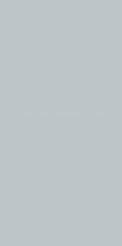 CTL-521 Grigio Efeso