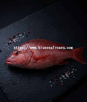 WHOLE RED SNAPPER