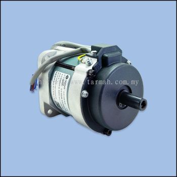 DL7200A MOTOR (BYL-40101132(O))