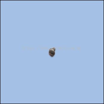 SCREW (WS-027)