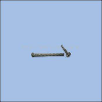 SCREW FOR PLUG (LTG-9900098)