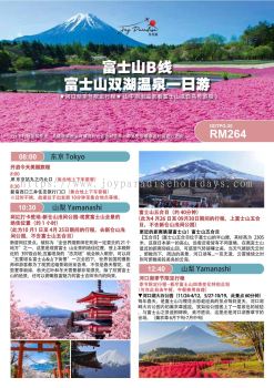 Mount Fuji Twin Lakes - Yamanashi Tour (ODTPG-20)