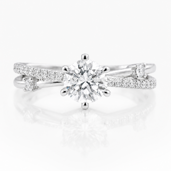 Classic & Prestige Collection