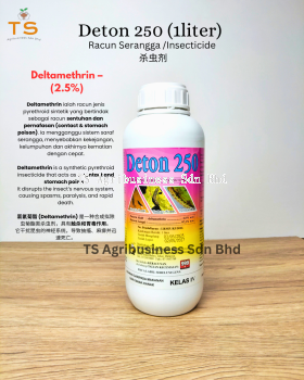 d5455384-e9c5-4716-9e66-4ab65cc1f04d