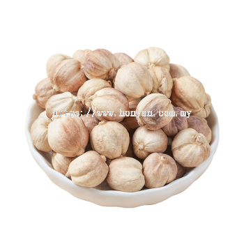 White Cardamom