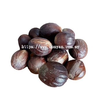 Megnut / Buah Pala