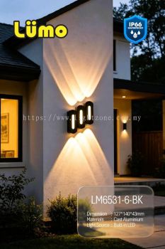 LM6531-6-BK