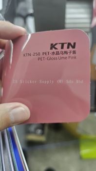 PET - Gloss Lime Pink 