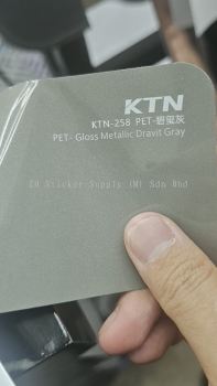 PET - Gloss MEtallic Gravit Gray
