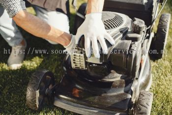 Grass Cutting & Lawn Maintenance Service