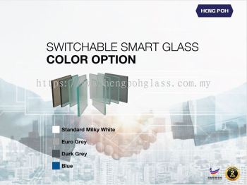 HPG Smart Glass Pg 8