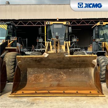 XCMG ZL50G VII (259)
