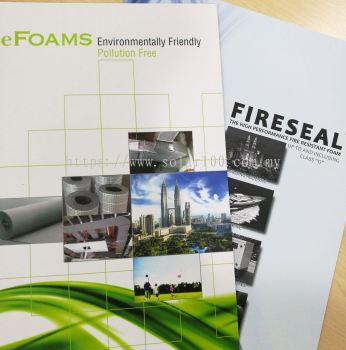 Efoams Sdn Bhd Malaysia Reviews 2026 | Roofing Contractor in Puchong Selangor | Solar100