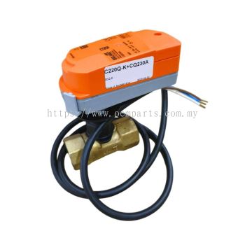 Belimo Control Valve