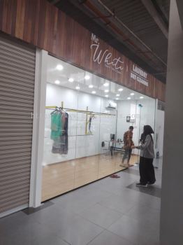 Frameless Glass Door