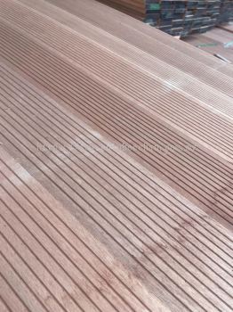 Meranti Papan Burung