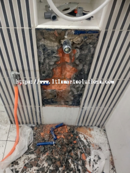 Toilet Leak Repair